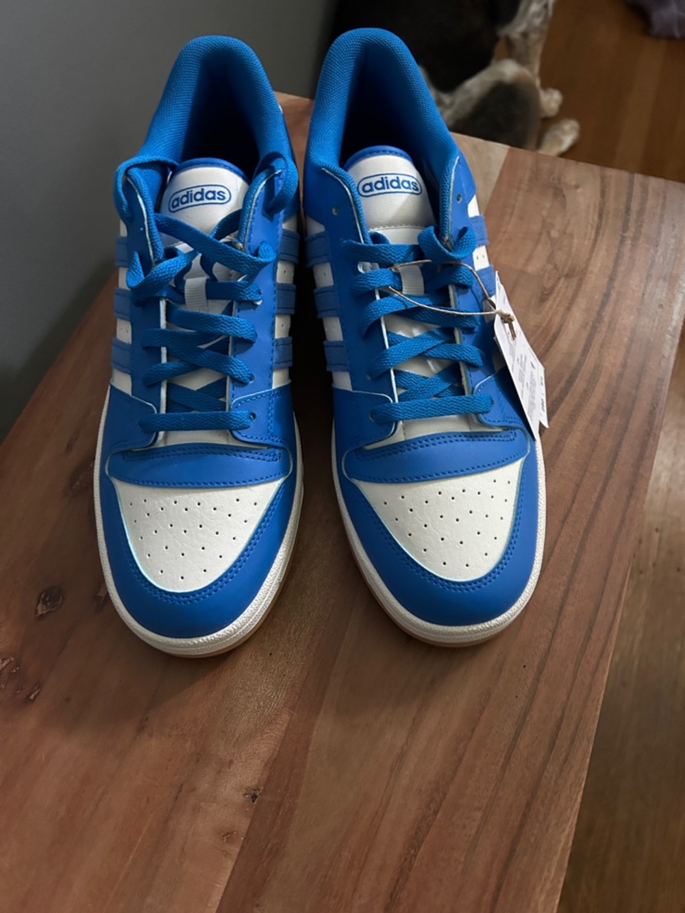adidas Royal Blue & White Court Sneakers - Picture 1 of 5